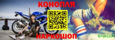 Альфа ПВП Волгодонск