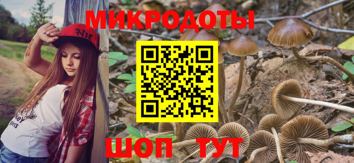 Мыски  Псилоцибиновые грибы прущие грибы  Вход с VPN 