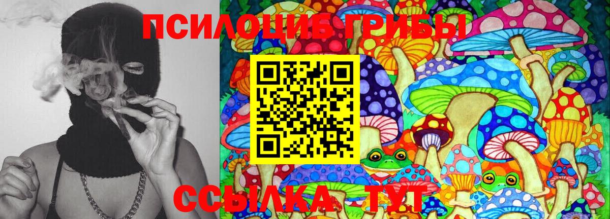 Псилоцибиновые грибы MAGIC MUSHROOMS Мыски